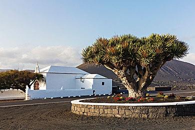 《重装机犬》新内容更新即将发布 23日登陆Steam