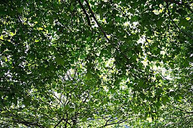 《神奇女侠》游戏概念艺术图泄露 发售日期待定